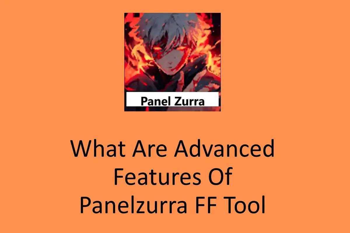 What Are Advanced Features of Panelzurra FF Tool?